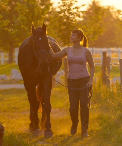 experiences (250 x 300 px)