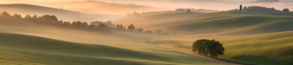 wlp-banner-images-2000x450 (2)